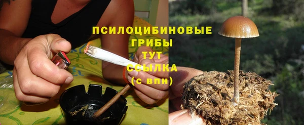 бошки Абинск